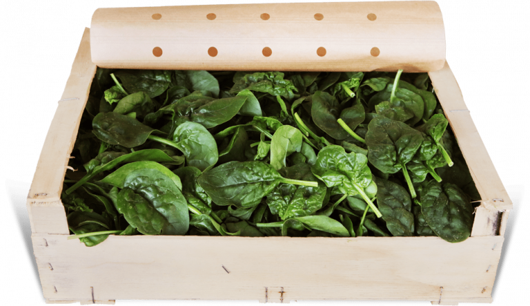 Marques de légumes bio