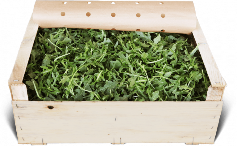 Marques de légumes bio