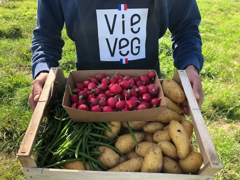 Ferme maraîchère biologique et diversifiée